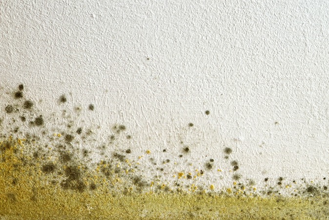外壁塗装の劣化を放置することで発生するリスク